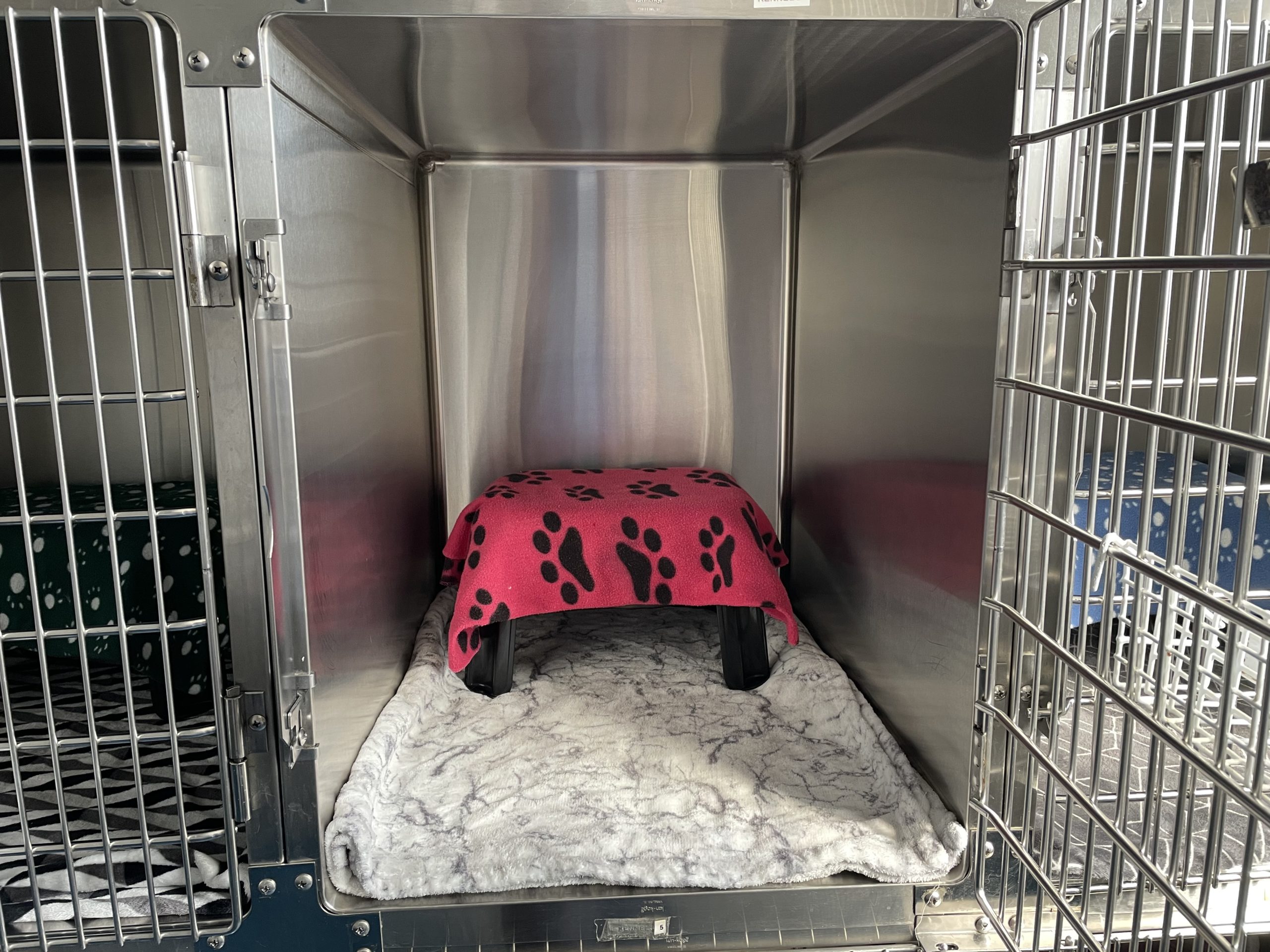 Pet care ward