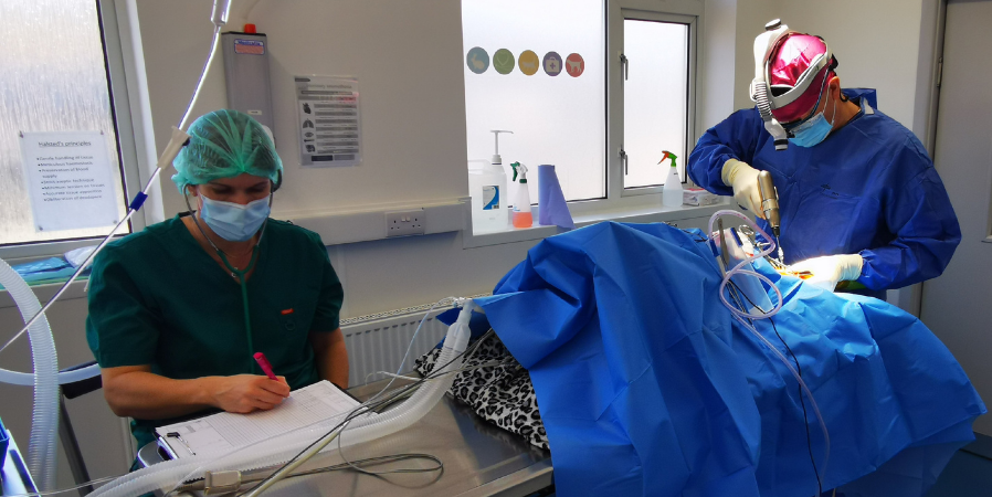 Surgery facilities