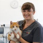Why Registered Veterinary Nurses Matter: Celebrating Veterinary Nurse Awareness Month at AllPets Veterinary Surgery