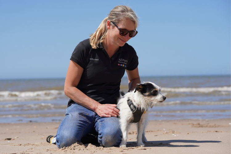 can you take dogs on rhyl beach