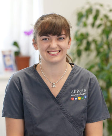 Lyndsay Young BSc – Animal Care Assistant